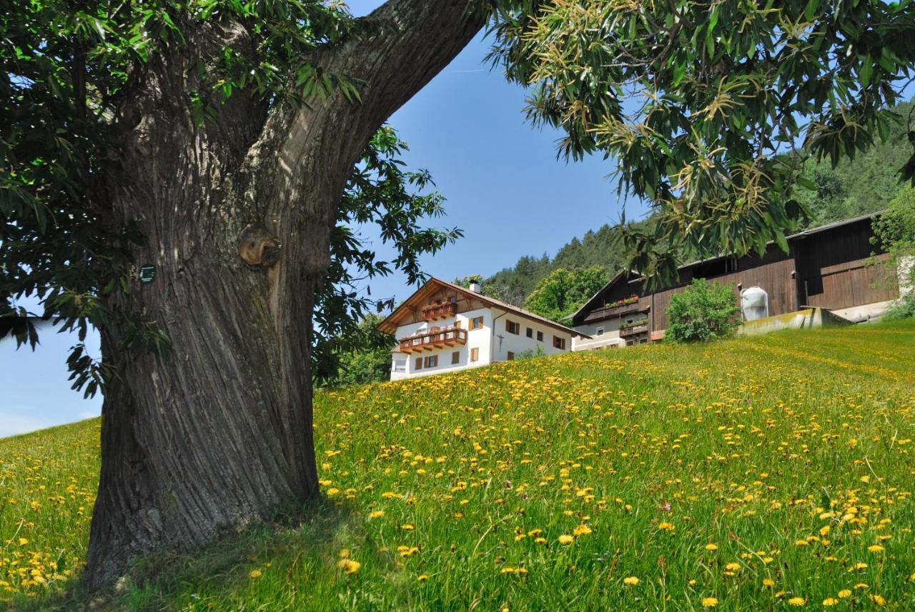 Wohrmannhof Διαμέρισμα Feldthurns Εξωτερικό φωτογραφία